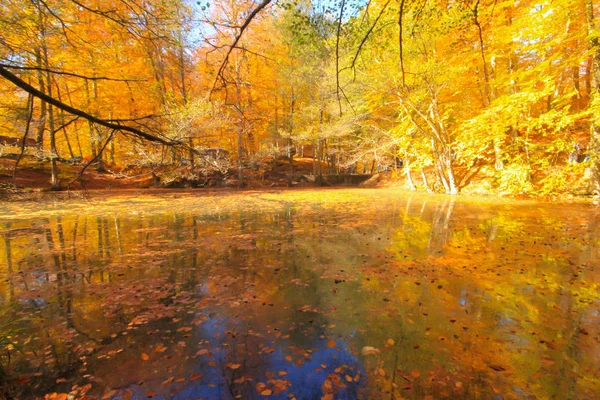 Podzimní Krajina Sedmi Jezerech Yedigoller Park Bolu Turecko Krása Mrak — Stock fotografie