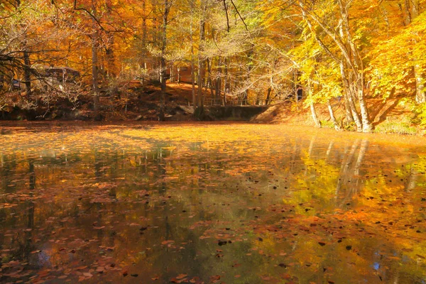 Paisagem Outono Sete Lagos Yedigoller Park Bolu Turquia Beleza Nuvem — Fotografia de Stock