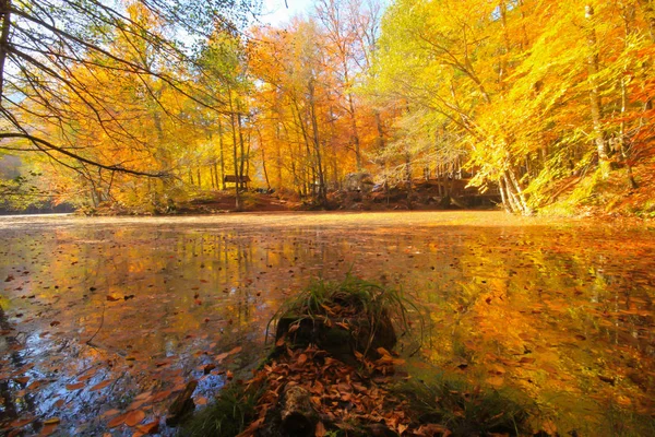 Paisagem Outono Sete Lagos Yedigoller Park Bolu Turquia Beleza Nuvem — Fotografia de Stock