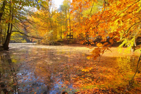 Podzimní Krajina Sedmi Jezerech Yedigoller Park Bolu Turecko Krása Mrak — Stock fotografie