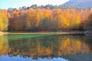 Yedi göldeki sonbahar manzarası Yedigoller Park Bolu, Türkiye. Güzellik, bulut.