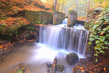 Yedi göldeki sonbahar manzarası Yedigoller Park Bolu, Türkiye. Güzellik, bulut.