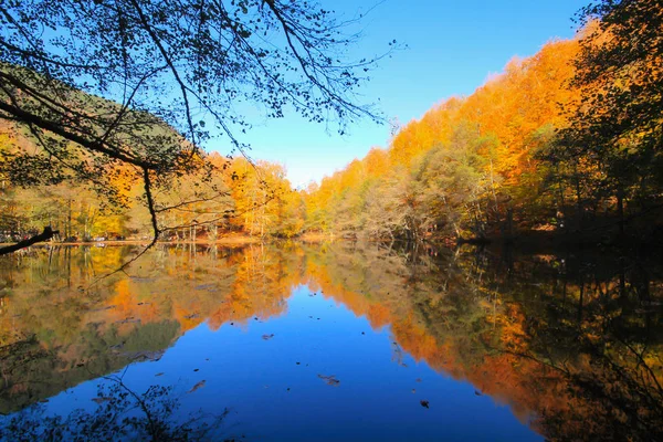 Herbstlandschaft Sieben Seen Yedigoller Park Bolu Türkei Schönheit Wolke — Stockfoto