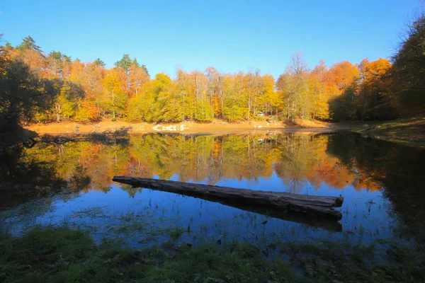 Autumn Landscape Seven Lakes Yedigoller Park Bolu Turkey Beauty Cloud — ストック写真