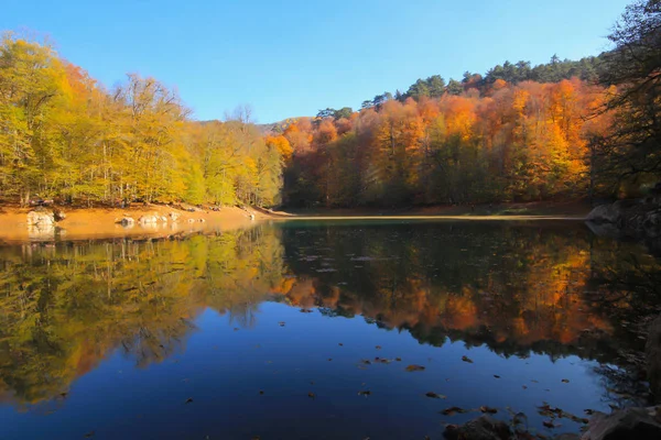 Yedi göldeki sonbahar manzarası Yedigoller Park Bolu, Türkiye. Güzellik, bulut.