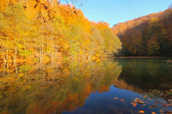 Jesienny Krajobraz Siedmiu Jeziorach Yedigoller Park Bolu Turcja Piękno Chmura — Zdjęcie stockowe