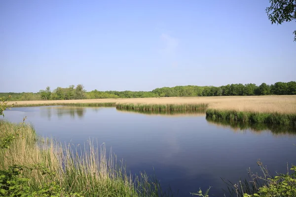 Acarlar sel yatağı ormanı (longoz). Türkiye 'nin kuzeybatısındaki Sakarya ilinde yer alıyor