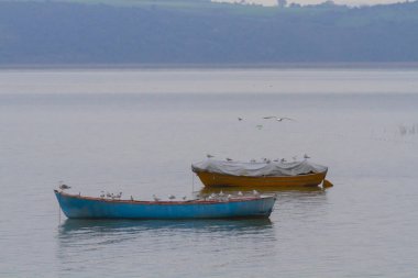 Güzel bir gün batımı manzarası Uluabat gölü ve Golyazi Köyü, Ulubat Gölü, Bursa Türkiye 'den gelen bazı balıkçı tekneleri...