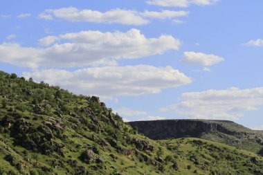Yarısı kasaba. Türkiye 'nin Sanliurfa ilinde Fırat Nehri' nin doğu kıyısında küçük bir tarım bölgesidir. Eski Yarısı, Birecik Barajı 'nın yükselen suları tarafından kısmen sular altında kaldı..