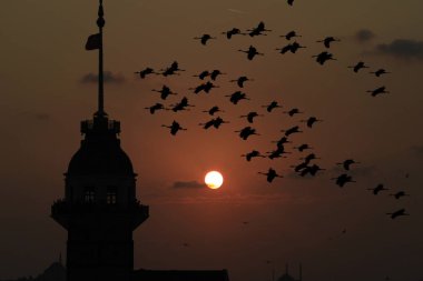 İstanbul 'un en tarihi yerleri ve plajları, dünyanın en sevilen şehri...