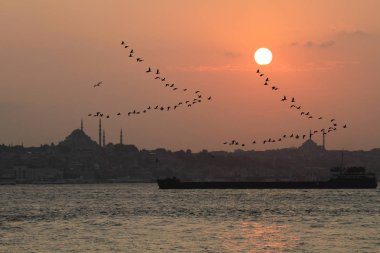 İstanbul 'un en tarihi yerleri ve plajları, dünyanın en sevilen şehri...