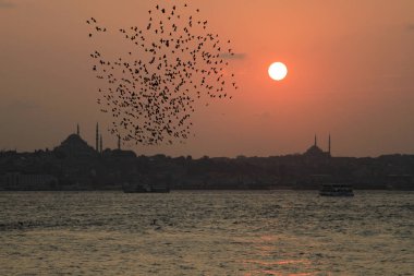 İstanbul 'un en tarihi yerleri ve plajları, dünyanın en sevilen şehri...