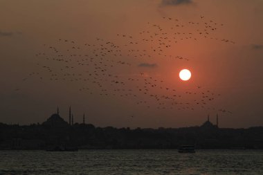 İstanbul 'un en tarihi yerleri ve plajları, dünyanın en sevilen şehri...