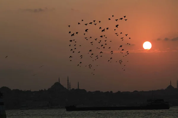 Istanbul Meest Historische Bezienswaardigheden Stranden Werelds Favoriete Stad — Stockfoto