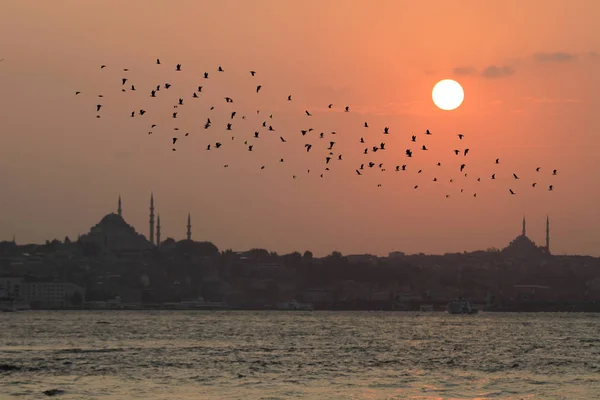 Siti Spiagge Più Storiche Istanbul Città Preferita Del Mondo — Foto Stock