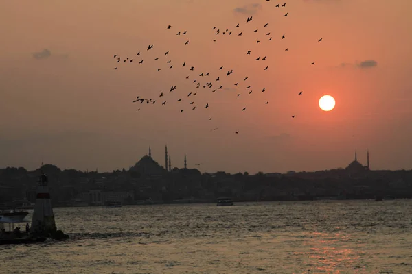 Istanbul Historische Stätten Und Strände Die Beliebteste Stadt Der Welt — Stockfoto