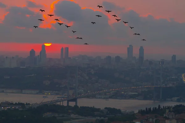 Photo Bosphorus Bridge Istanbul Sunrise Unites Two Different Continents Asia — Stock Photo, Image