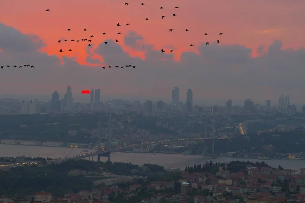 Фото Моста Босфора Стамбула Світанку Єднує Два Континенти Азію Європу — стокове фото