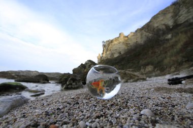 Rumeli Feneri (Rumeli Feneri) İstanbul, Türkiye. İstanbul'un Sarıyer ilçesinin Karadeniz ve kuzey kıyıları.