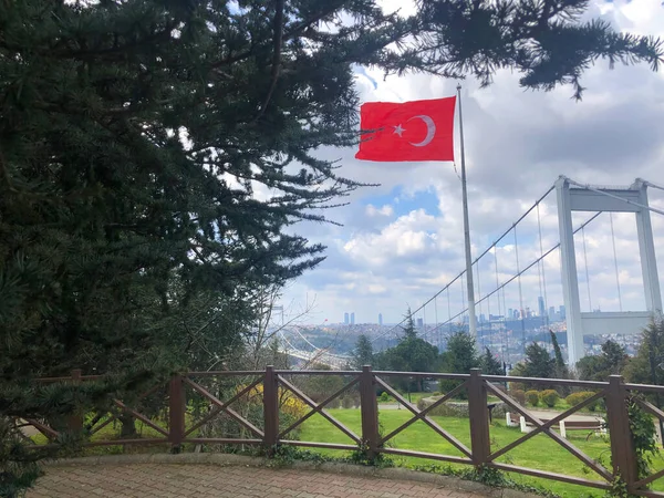 Judas Trees Turco Erguvan Istanbul Hermosa Vista Primavera Del Bósforo — Foto de Stock