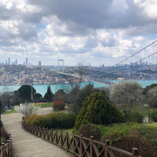 Stanbul Yahuda Ağaçları Türkçe Erguvan Otagtepe Den Stanbul Boğazı Nın — Stok fotoğraf