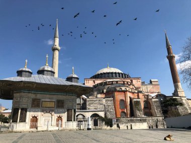 Mavi Cami ve Ayasofya Müzesi / İstanbul Tarihi Şehri