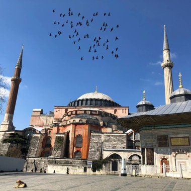 Mavi Cami ve Ayasofya Müzesi / İstanbul Tarihi Şehri