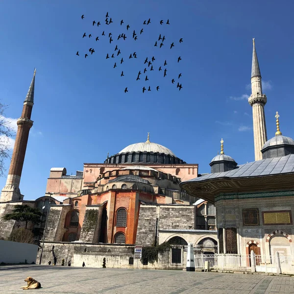 Mosquée Bleue Musée Hagia Sophia Ville Historique Istanbul — Photo