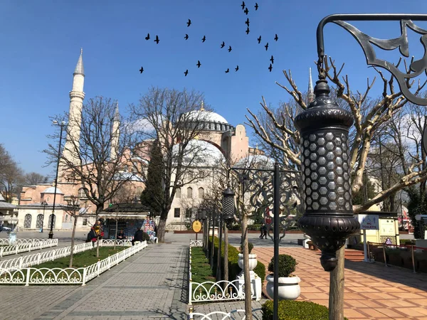 Mosquée Bleue Musée Hagia Sophia Ville Historique Istanbul — Photo