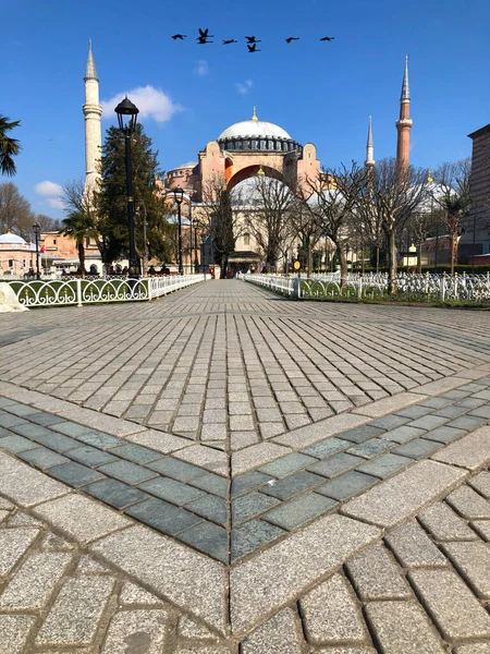 Blue Mosque Hagia Sophia Museum Istanbul Historical City — Stock Photo, Image