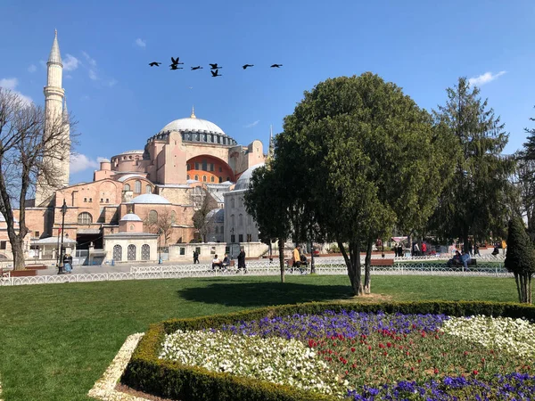 Blue Mosque Hagia Sophia Museum Istanbul Historic City — стокове фото
