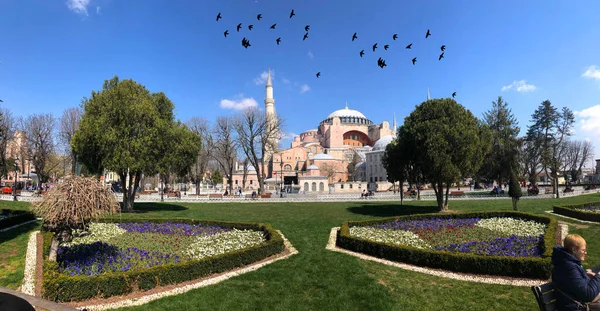 Blue Mosque Hagia Sophia Museum Istanbul Historical City — Stock Photo, Image