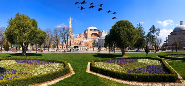 Blue Mosque Hagia Sophia Museum Istanbul Historical City — Stock Photo, Image