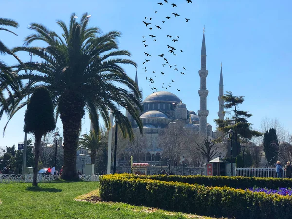 蓝色清真寺和Hagia Sophia博物馆 伊斯坦布尔历史城 — 图库照片