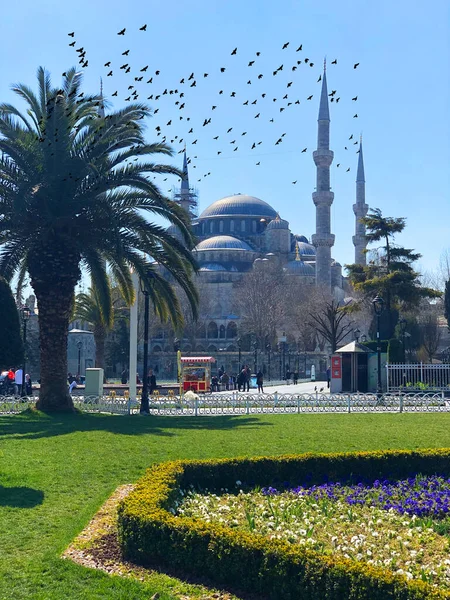 Mesquita Azul Museu Hagia Sophia Istanbul Cidade Histórica — Fotografia de Stock