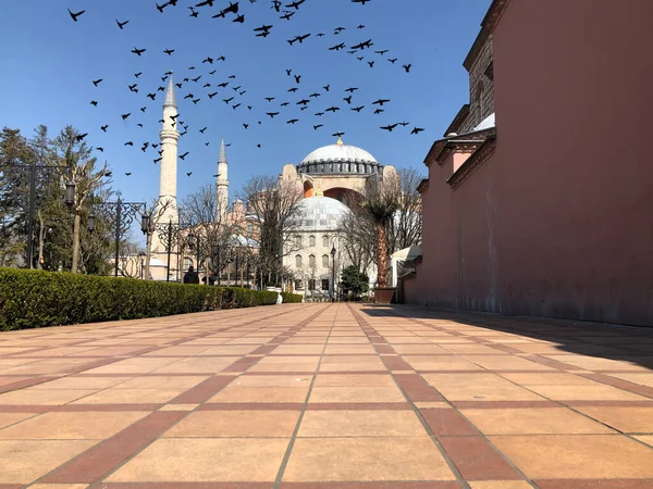 Blue Mosque Hagia Sophia Museum Istanbul Historic City — стокове фото