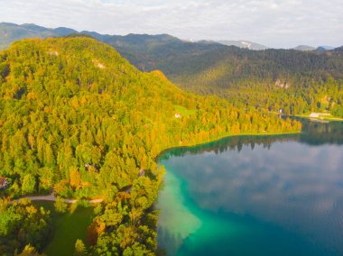 Renkli ormanın havadan görünüşü ve Bled Gölü küçük bir adanın kilisesi. Slovenya 'da sonbaharda gün doğumu