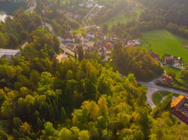 Renkli ormanın havadan görünüşü ve Bled Gölü küçük bir adanın kilisesi. Slovenya 'da sonbaharda gün doğumu