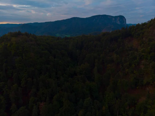 Veduta Aerea Della Foresta Colorata Del Lago Bled Con Una — Foto Stock