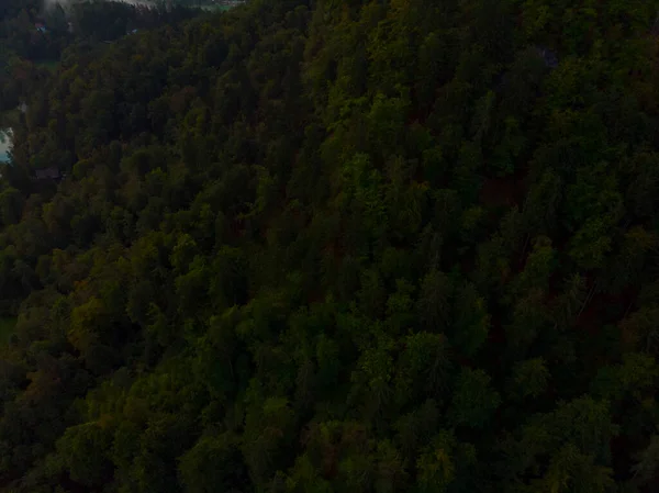 Veduta Aerea Della Foresta Colorata Del Lago Bled Con Una — Foto Stock