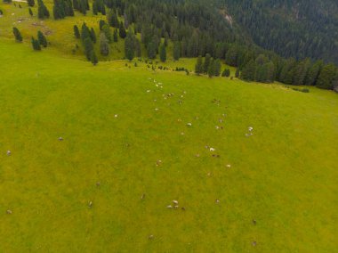 Rifugio Odle Geisler Bağışı