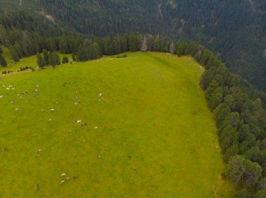 Rifugio Odle Geisler Bağışı