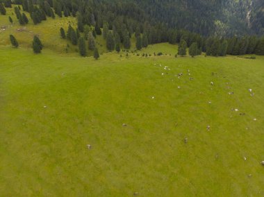 Rifugio Odle Geisler Bağışı
