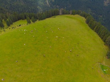 Rifugio Odle Geisler Bağışı