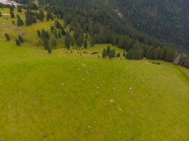 Rifugio Odle Geisler Bağışı