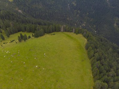 Rifugio Odle Geisler Bağışı