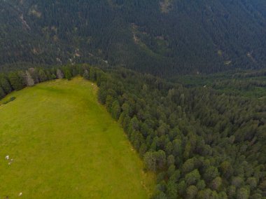 Rifugio Odle Geisler Bağışı