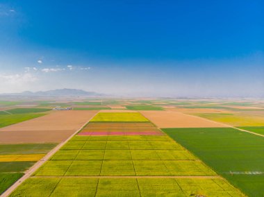 Lale alanları hava görüntüsü / Konya