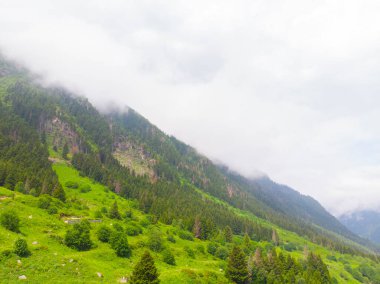 Bulutlardaki dağ zirvesi, Türkiye Karadeniz Bölgesi Rize kenti
