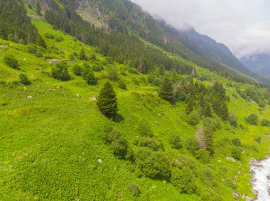 Bulutlardaki dağ zirvesi, Türkiye Karadeniz Bölgesi Rize kenti